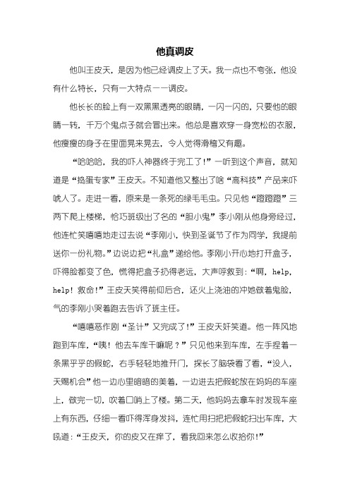 写人作文：他真调皮作文600字
