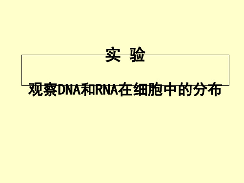 观察DNA和RNA在细胞中的分布实验