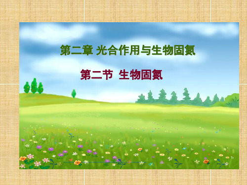 高中生物生物固氮名师精编课件旧人教选修