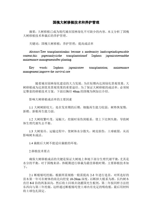 国槐大树移植技术和养护管理