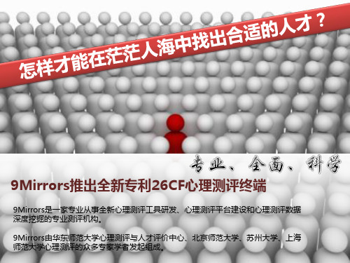 9MIRRORS测评云系统