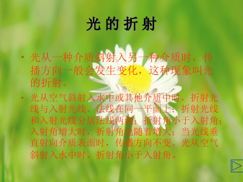 光的折射PPT课件
