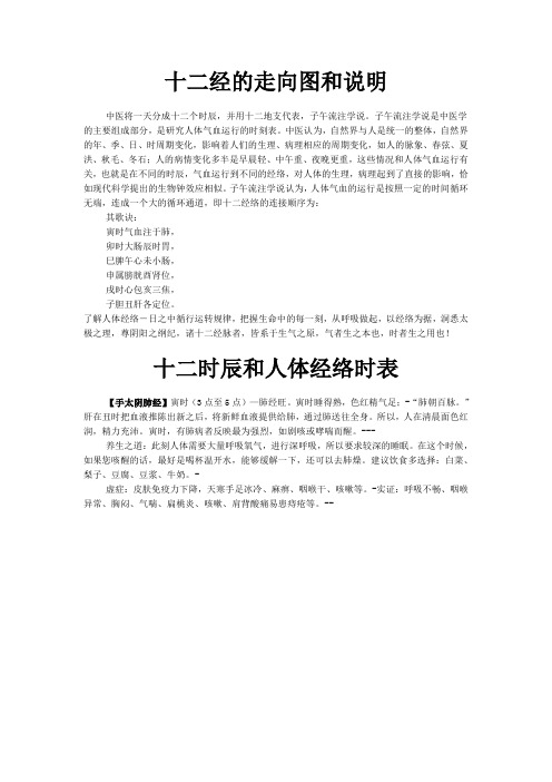 12经络走向图