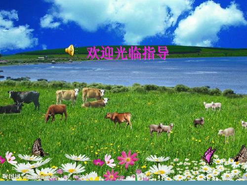 洮南市职业教育中心 石春梅     《蛋白质饲料》教学课件