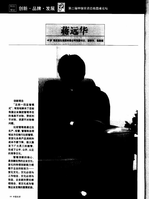 宜化的软实力