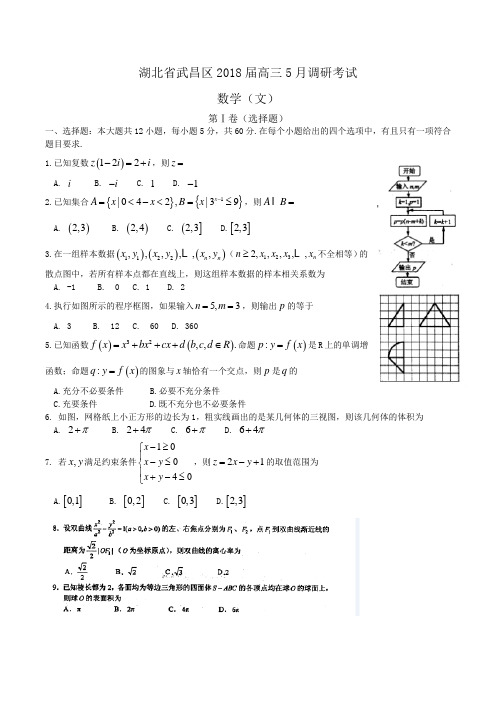 湖北省武昌区2018届高三5月调研考试数学(文)Word版含答案