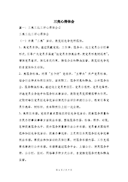 三亮心得体会.doc