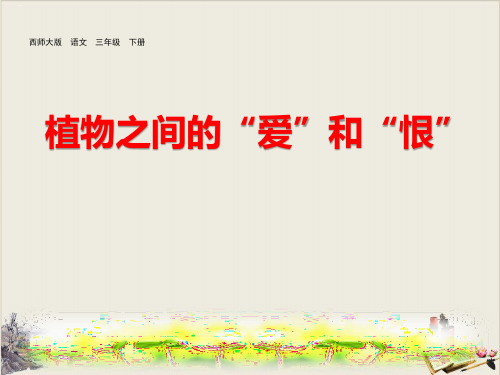植物之间的“爱”和“恨”_PPT