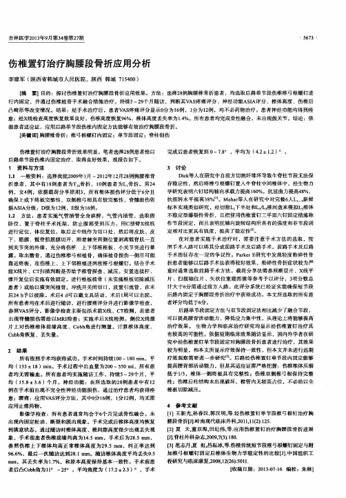 伤椎置钉治疗胸腰段骨折应用进展分析