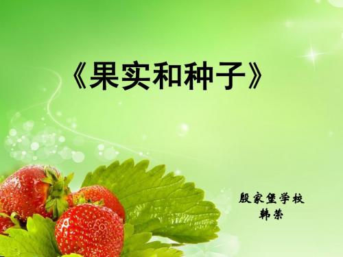 小学三年级科学下册《果实和种子》课件