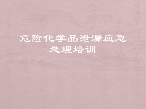 危化品泄漏应急处理培训 ppt课件