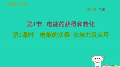 九年级科学上册第6章电能1电能的获得和转化第1课时电能的获得安培力及应用习题课件(新版)华东师大版