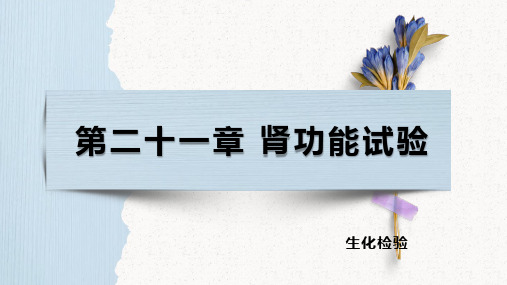 生化检验——肾功能概述