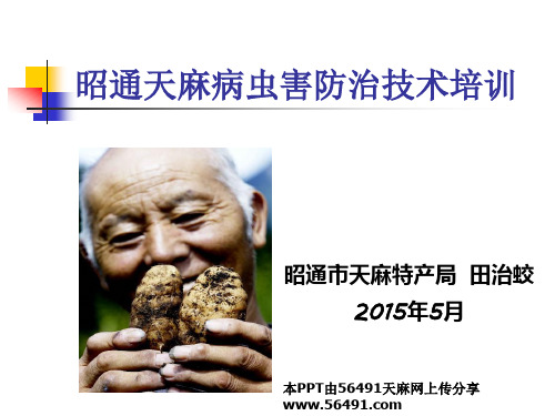 昭通天麻病虫害防治技术培训