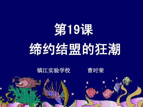 第19课 缔约结盟的狂潮(课件)(北师版九上)