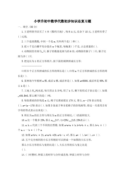 小学升初中数学代数初步知识总复习题