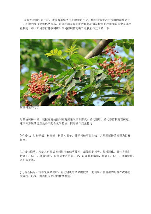 花椒树修剪怎样控树冠？花椒树修剪的技术要点简介