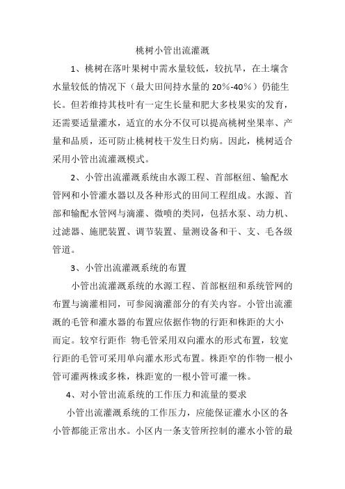 小管出流灌溉-桃树