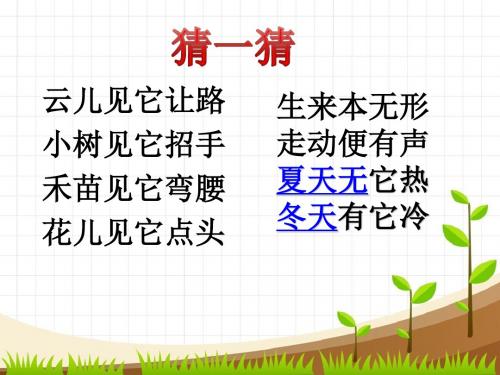 【精品】四年级上册科学课件：3.12 追求凤的足迹｜鄂教版  (共34张PPT)