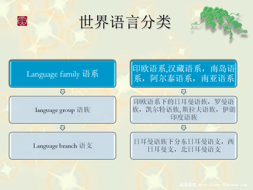 世界语言分类精品PPT课件