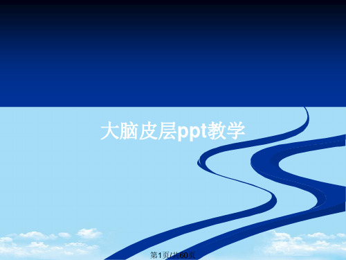 大脑皮层ppt教学PPT全面版