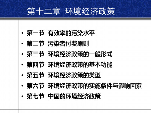 第12章-环境经济政策