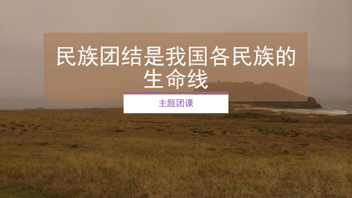 民族团结是我国各民族的生命线