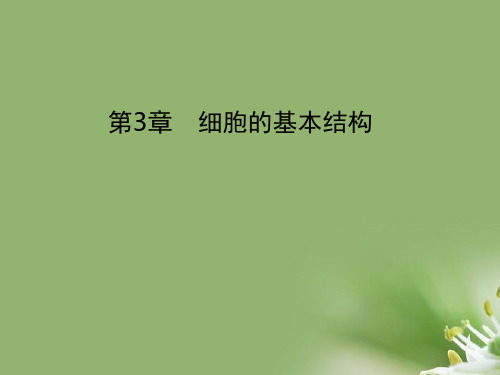 细胞膜——系统的边界ppt68 人教课标版精选教学PPT课件