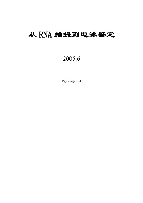 RNA抽提到电泳步骤