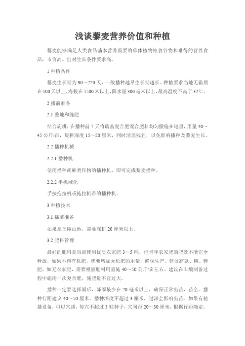 浅谈藜麦营养价值和种植