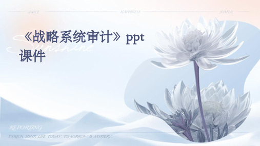 《战略系统审计》课件