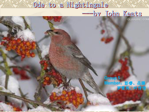 Ode To Nightingale解析