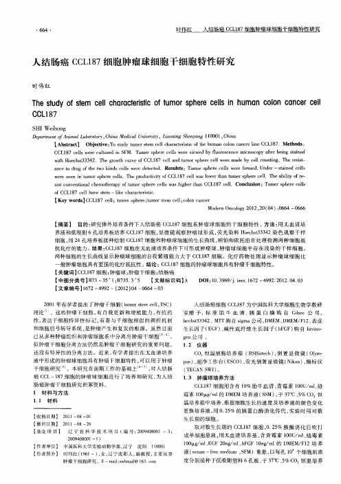 人结肠癌CCL187细胞肿瘤球细胞干细胞特性研究