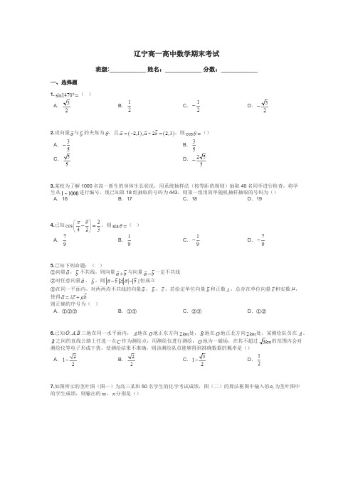 辽宁高一高中数学期末考试带答案解析
