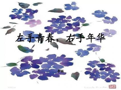 左手青春,右手年