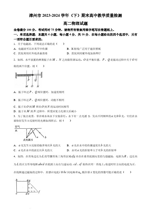 福建漳州市2024年高二下学期7月期末考试物理试题+答案