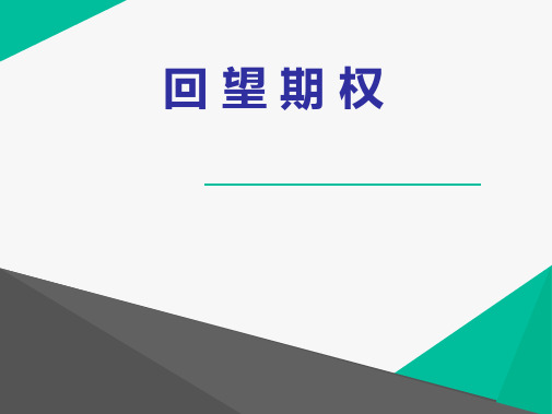 回 望 期 权