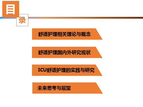 舒适化护理的研究现状与展望