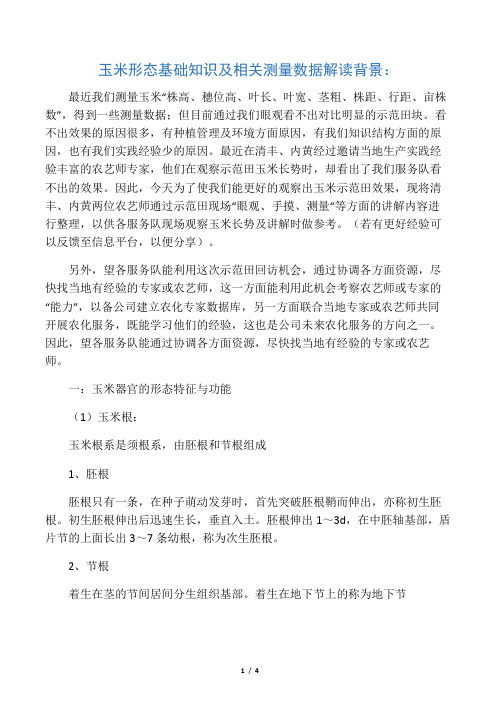 玉米形态基础知识及测量数据解读