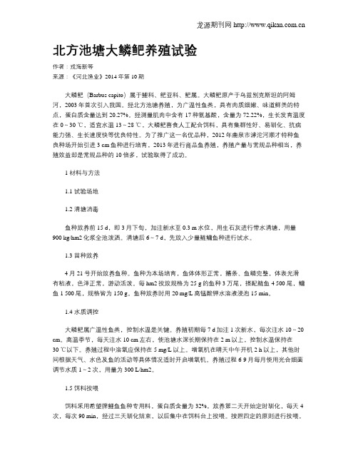 北方池塘大鳞鲃养殖试验