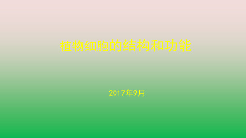 植物细胞公开课优质课课件.pptx