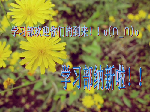 学习部纳新宣传