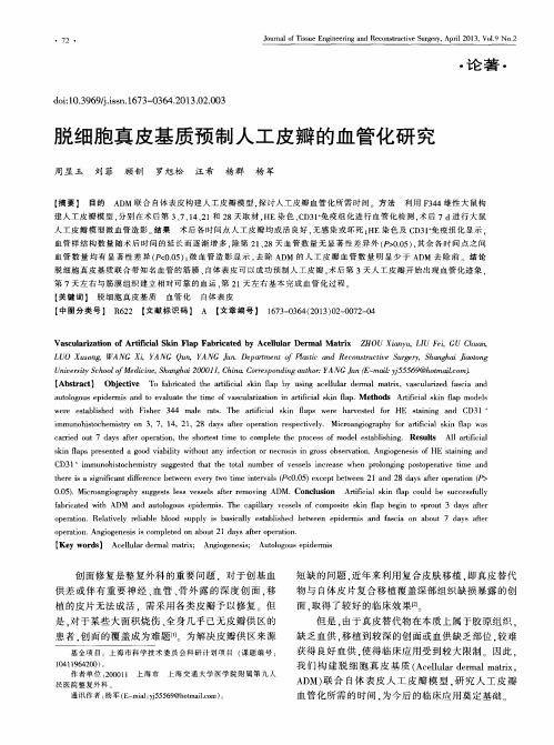 脱细胞真皮基质预制人工皮瓣的血管化研究