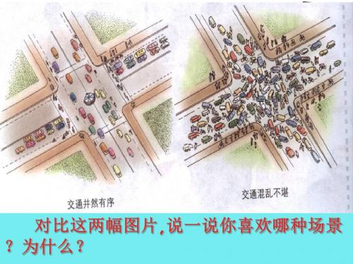 新人教部编版八年级道德与法治上册3.1 维护秩序 课件 (共23张PPT)