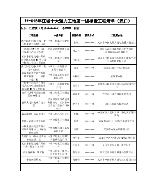 2015年江城十大魅力工地第一组核查工程清单【模板】