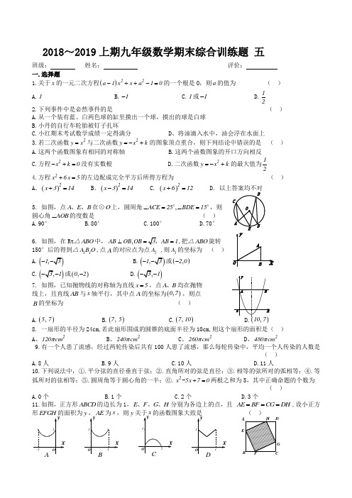 四川省自贡市富顺县赵化中学2018～2019上学期九年级数学期末综合训练题 五