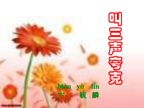 叫三声夸克课件(正课)