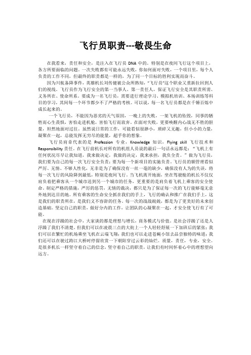 飞行员职责