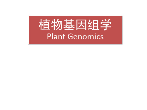 植物基因组学