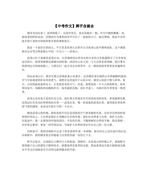 【中考作文】挥手自兹去